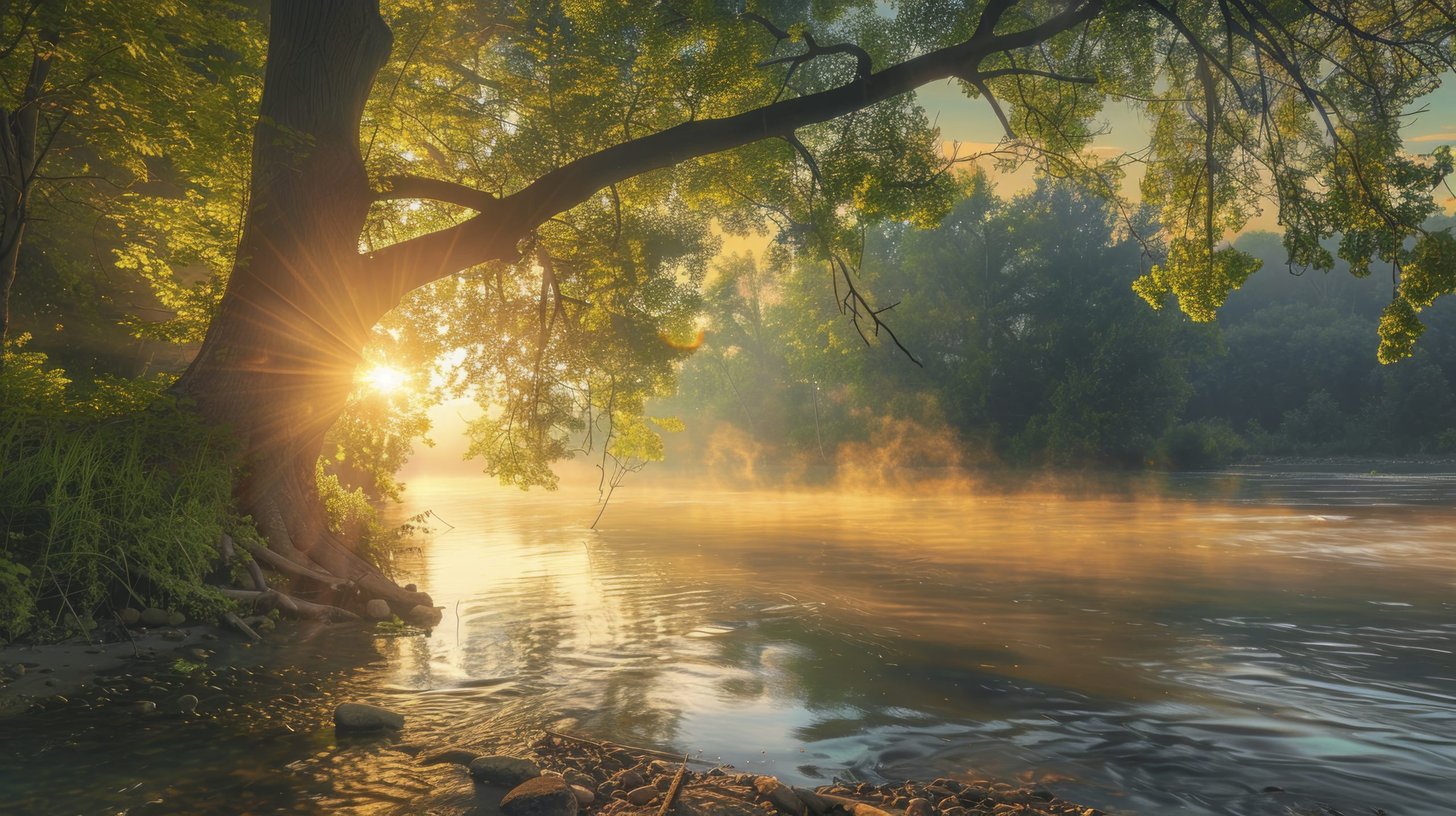 beautiful lake with fog at sunrise with the sun in the background in high resolution and high quality. beautiful landscape concept